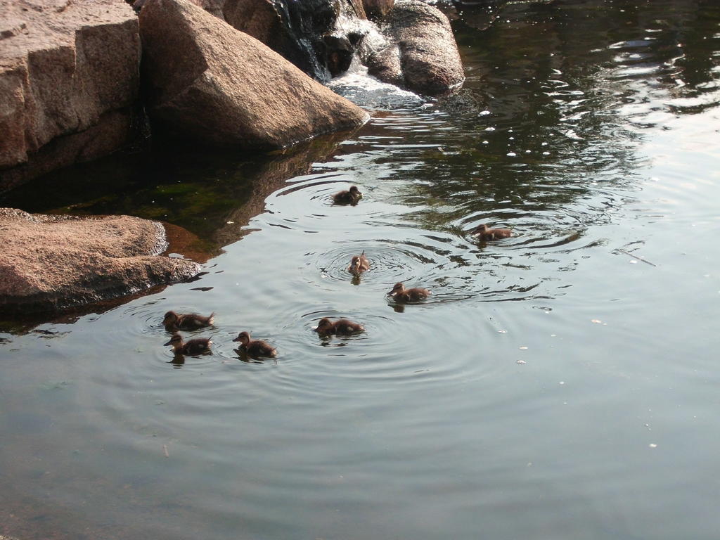 Bagaglino I Giardini Di Hotel